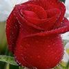 user63z644qf7m