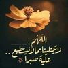 user5428615968056