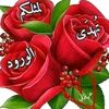 asharfasharf328