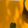 Bột nghệ bột sắn