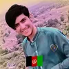 Dawood  Armani231
