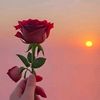 mdjohnny8601