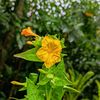 🦋🌿  প্রকৃতির মায়া  🌿🦋