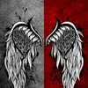 salamds16