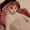 anas_1357999