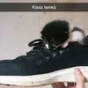 soppa.kulho