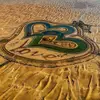 alimali1827