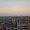 shahdmahmoud7542