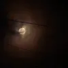 caio_caraio