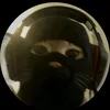 rjurik7