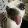 kristenkei_