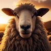 we.were.sheep