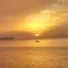 saidnord_58