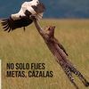 omarlainez163