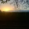 juanandresdiaz856