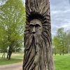 goodvibesdude56