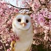 sickinthehead1207