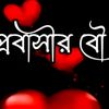 user89087081923648