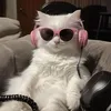 glxysyy.ur_scarllet0