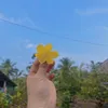 Cỏ May🍀