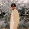 Honey baba 709