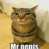 mr.denisek