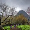 un_10050