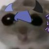 owl_djjd