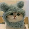 lluvv.qilla1