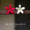 313_an_w