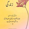 zohaibasim222