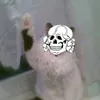 pan_jezis