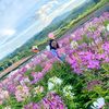 toey68_shop2