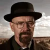 zolwikgryzie