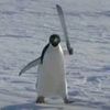 ivan__743