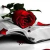 andreeadeea2904