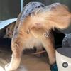badcustomerr