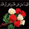 taqana.kam572