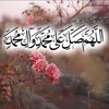 salah.mohamed4667