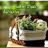 zainabfrahat411