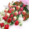 charlottesossou86