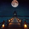 hebaahmed2645