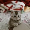 poyraz123.z