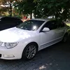 stefanyordanov274