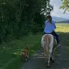 phillisknop