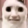 choriconpan2