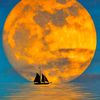 beautiful_sea_1111