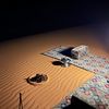 qm_454