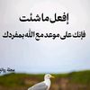badr.mahmoud45
