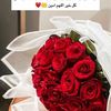 norh_1455